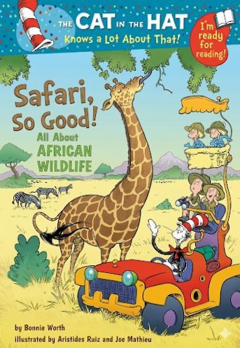 All About African Wildlife - Safari, So Good